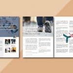 communication Lignes dHorizon 14 internet